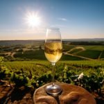 Experience The Perfect Champagne Tour From Paris: Discover The Best Tours, Tastings, And Insider Tips 8 Champagne tour from Paris